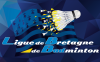 https://www.bretagnebadminton.com/